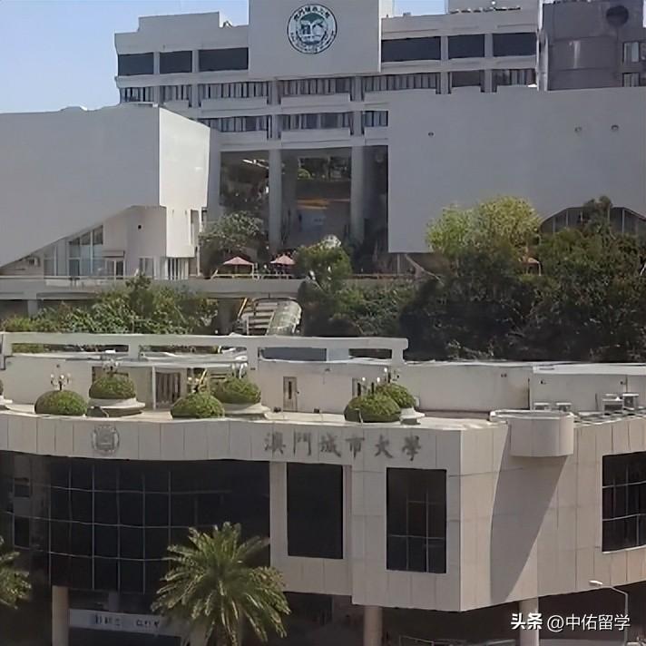 2024澳門天天開好彩大全鳳凰天機,實地數(shù)據(jù)評估方案_DX版64.638