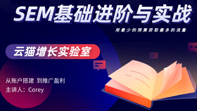 新澳天天彩正版資料,迅速執(zhí)行設(shè)計計劃_限量款88.10